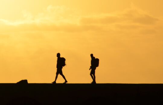 Motiv "Nachfolge". Foto: Bernhard Staerck, pixabay.com