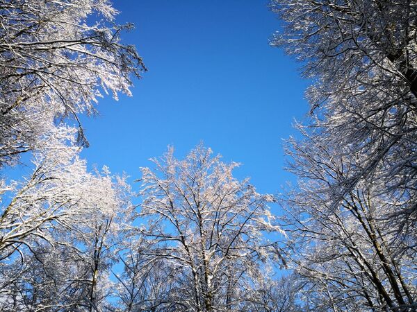 Klosterkirche Nordshausen
