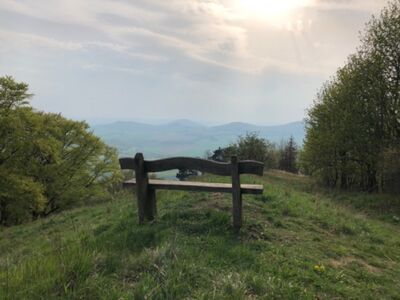 Ruhe-Bank bei einem Aussichtspunkt auf dem Dörnberg. Foto: Andreas Zimmermann
